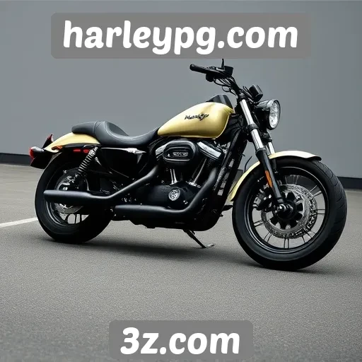 Métodos de pagamento oferecidos pelo site